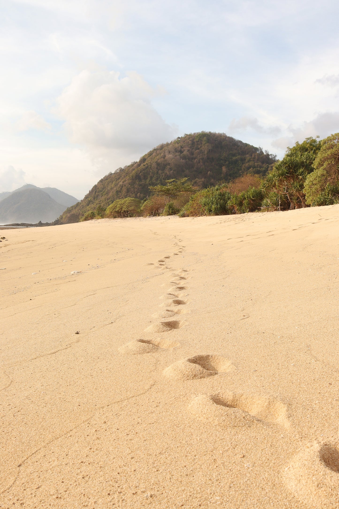 FOOTSTEP