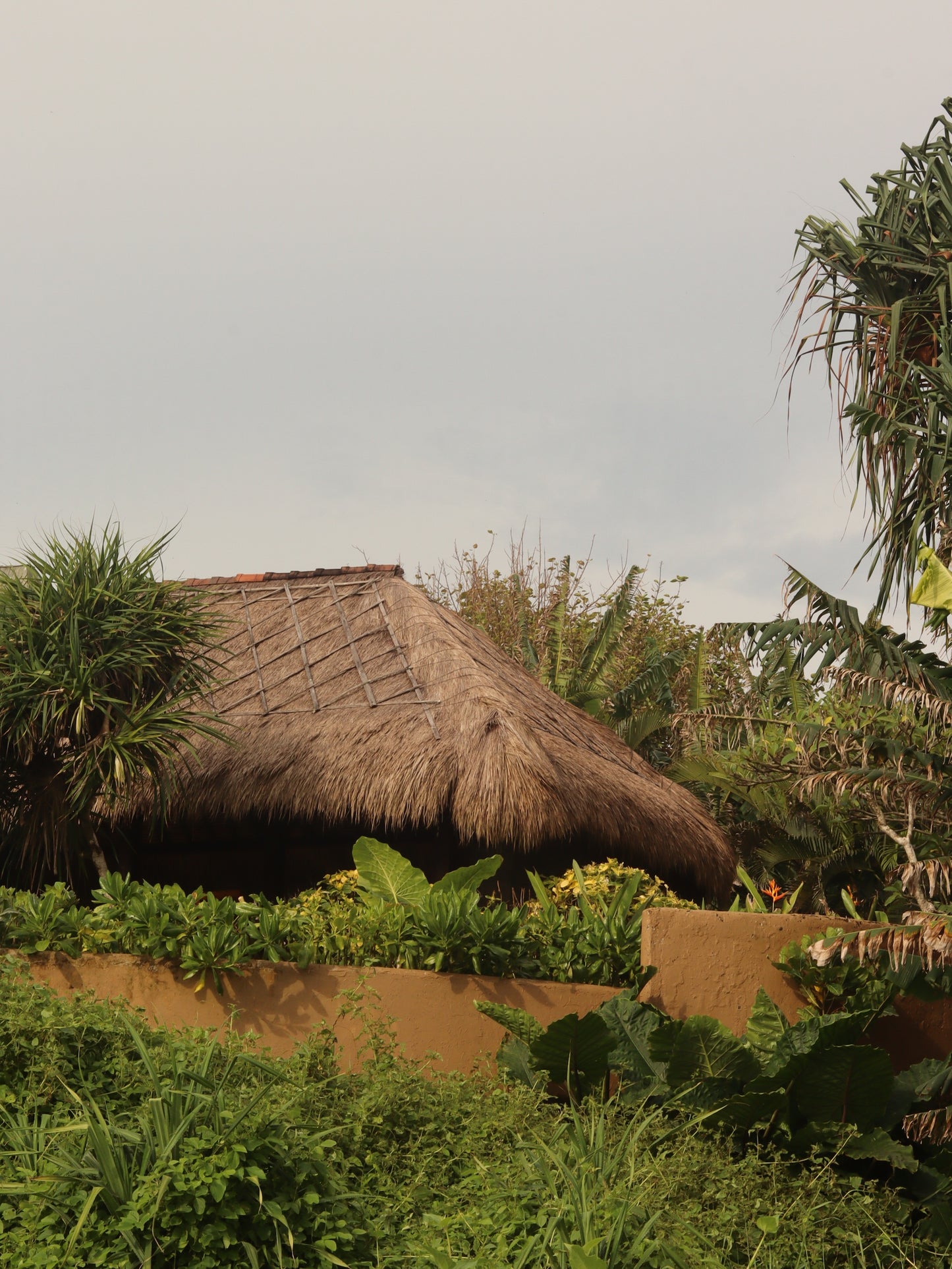 HUT