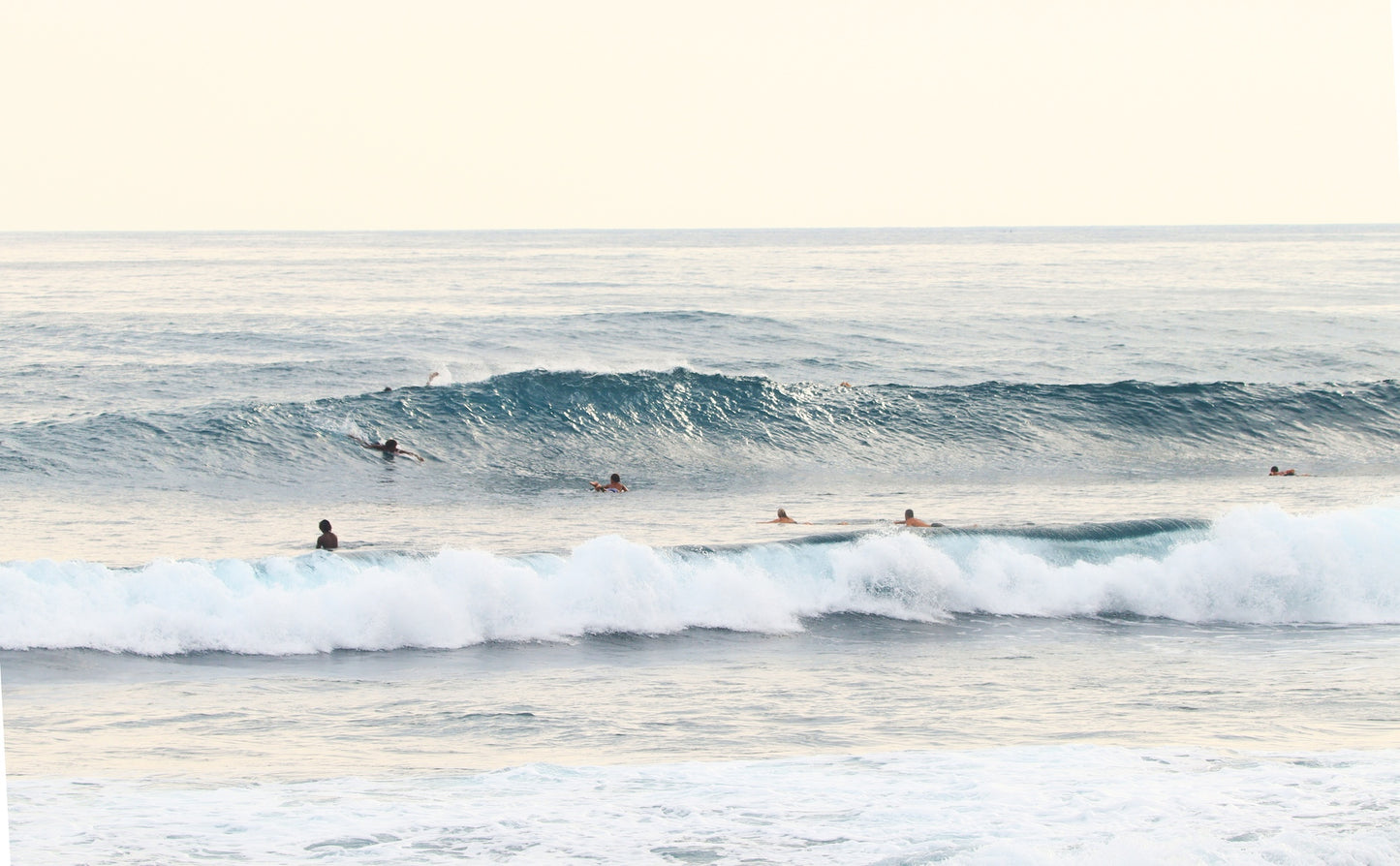LINEUP