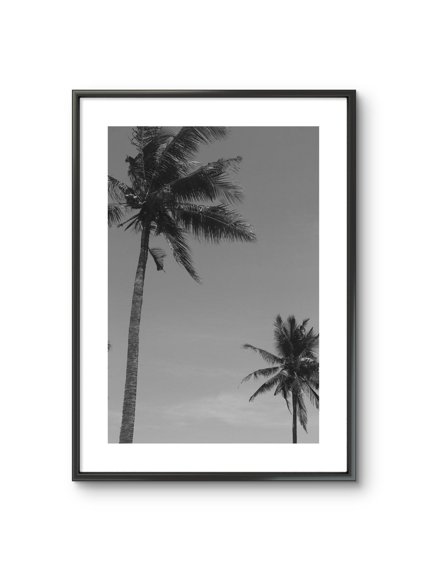 TWO PALMS