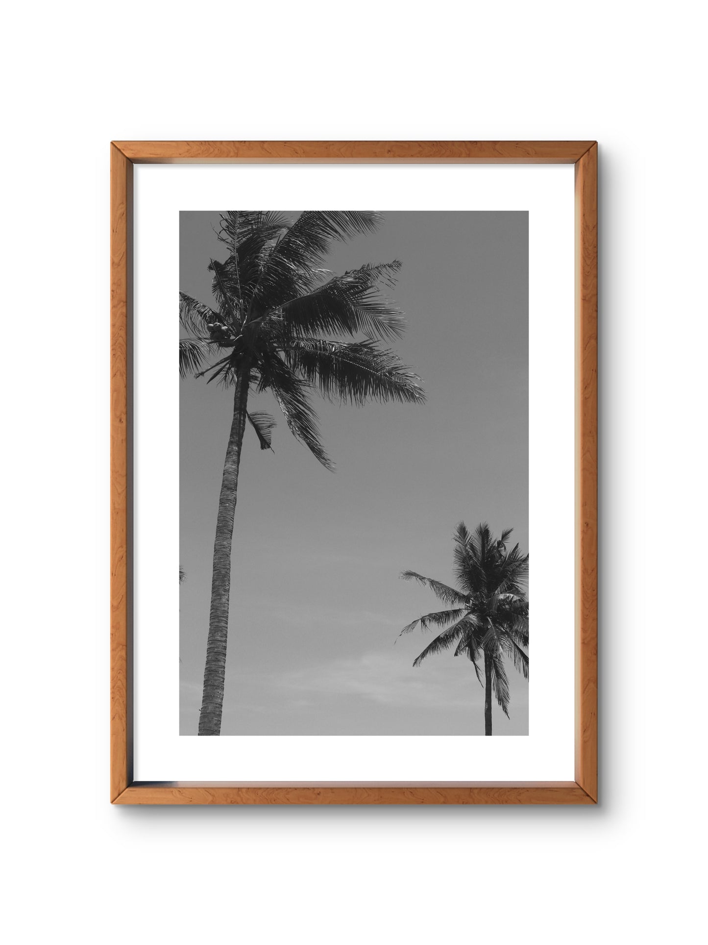 TWO PALMS