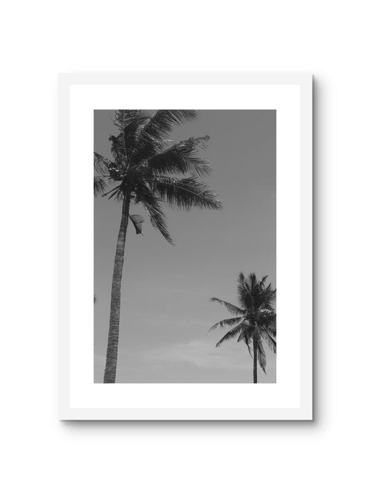 TWO PALMS